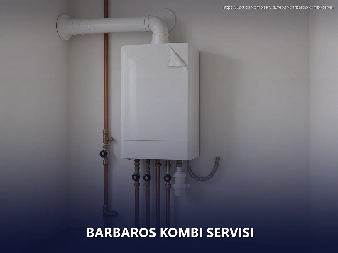Barbaros Kombi Servisi